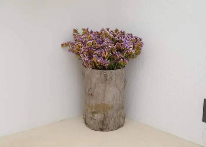 דירה Mamma Mia העיירה סקיאתוס