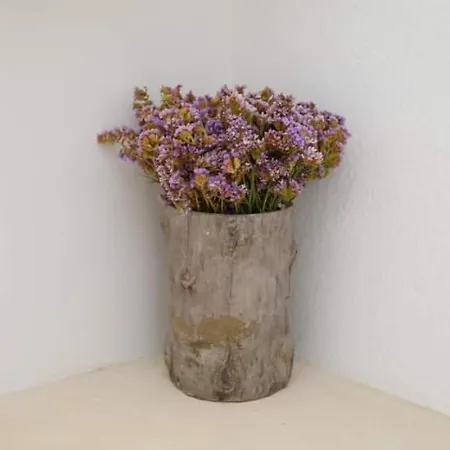 Lejlighed Mamma Mia Skiathos by